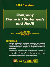 Company Financial Statements and Audit, 2024